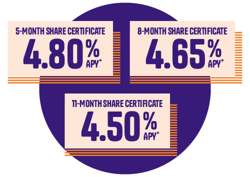 5- 8- 11-Month Share Certificate Special